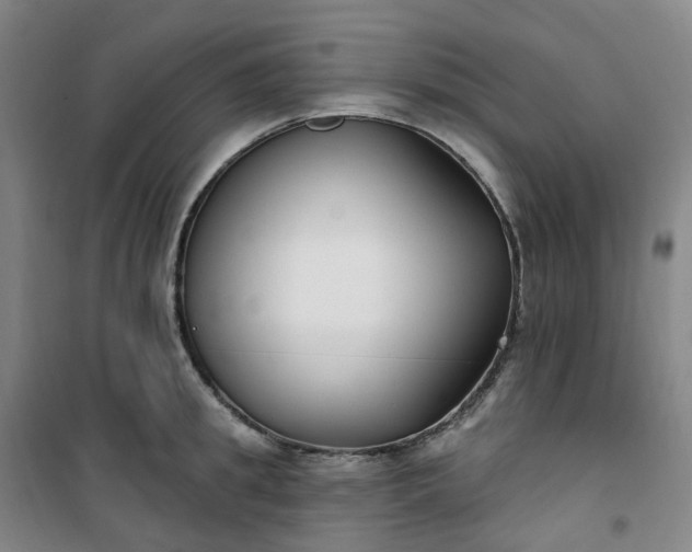 X0000101180949200807111112