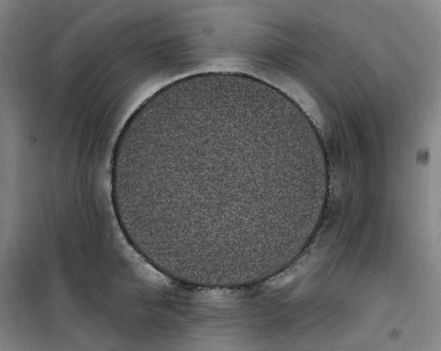 X0000101180950200807111112