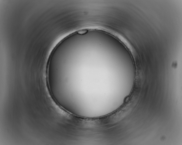 X0000101180951200807111112