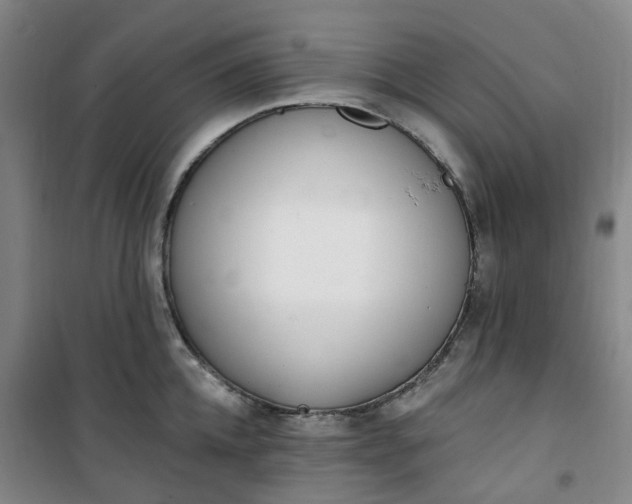 X0000101180952200807111112
