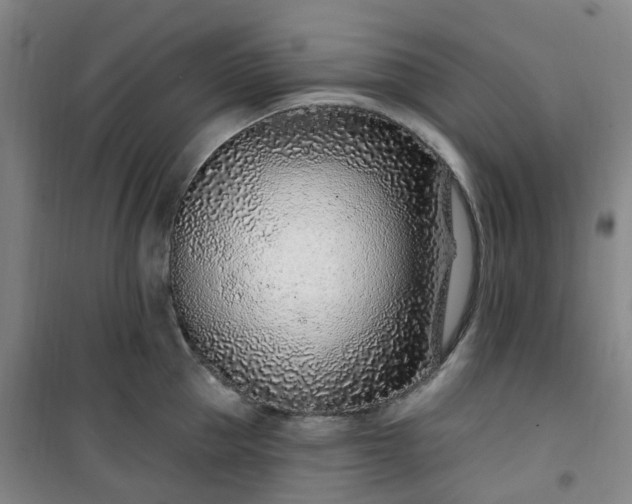 X0000101180953200807111112