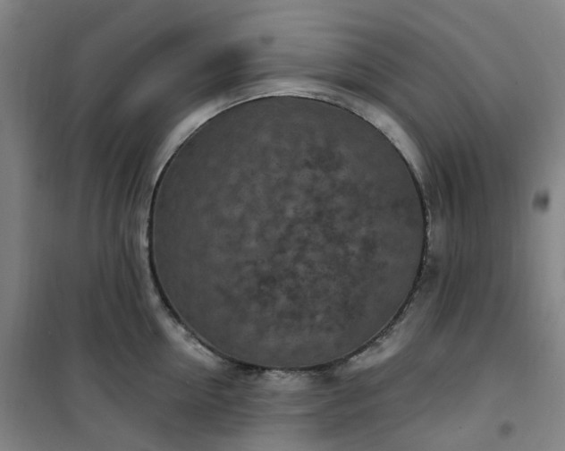 X0000101180954200807111112