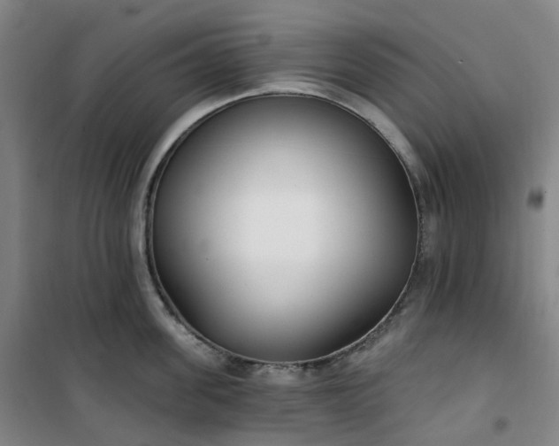 X0000101180955200807111112