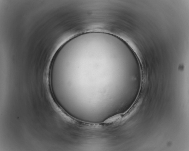 X0000101180957200807111112