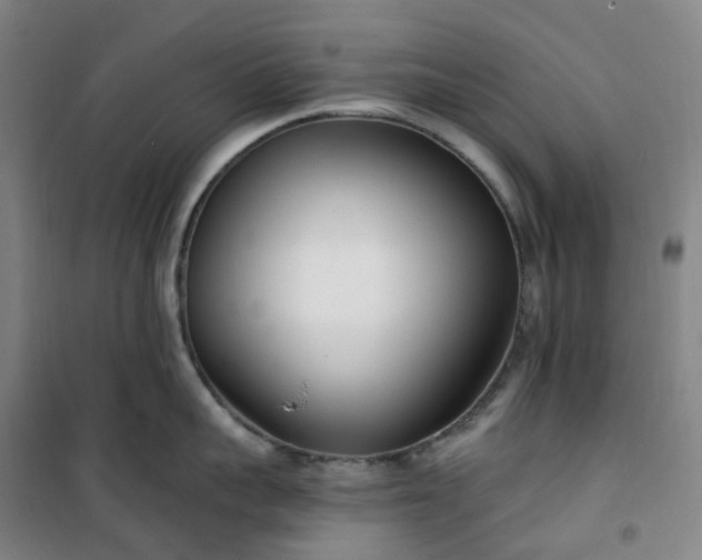 X0000101180959200807111112