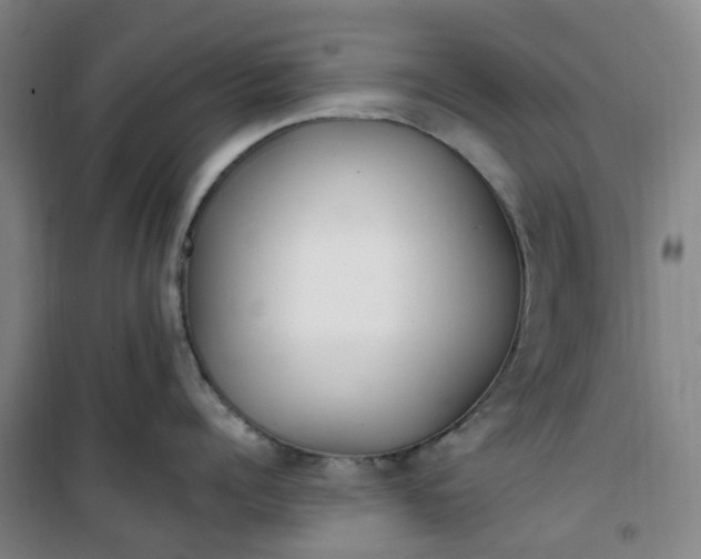 X0000101180960200807111112