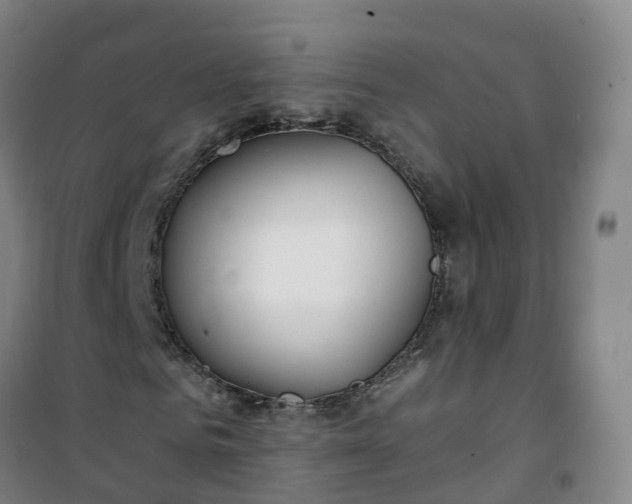 X0000101180961200807111112