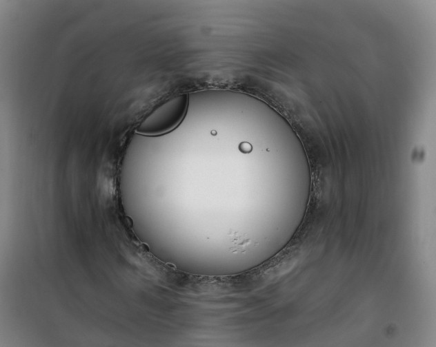 X0000101180962200807111112