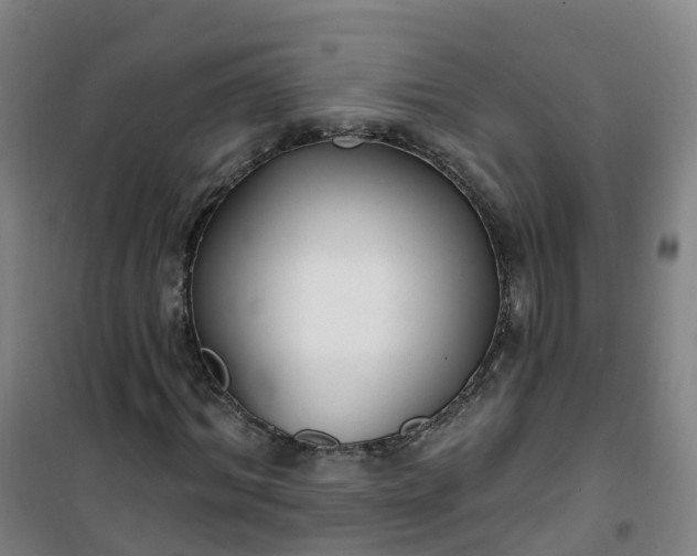 X0000101180964200807111112