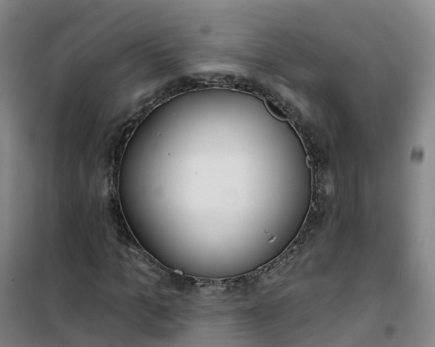 X0000101180965200807111112