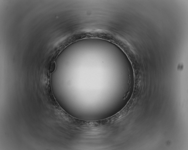 X0000101180966200807111112