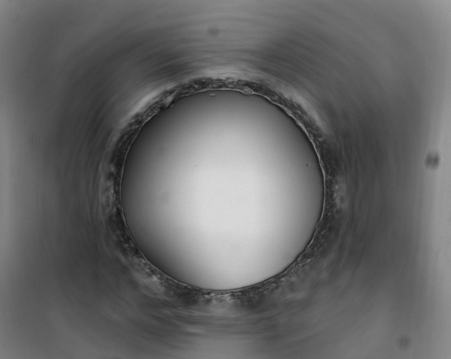 X0000101180968200807111111