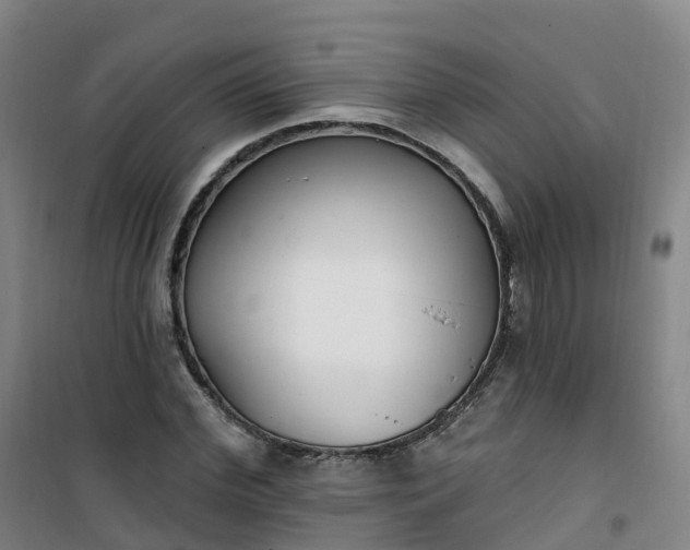 X0000101180972200807111111