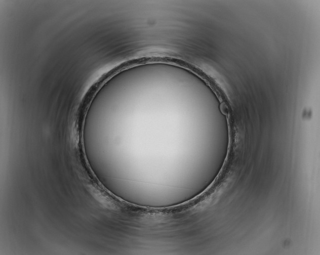 X0000101180973200807111111