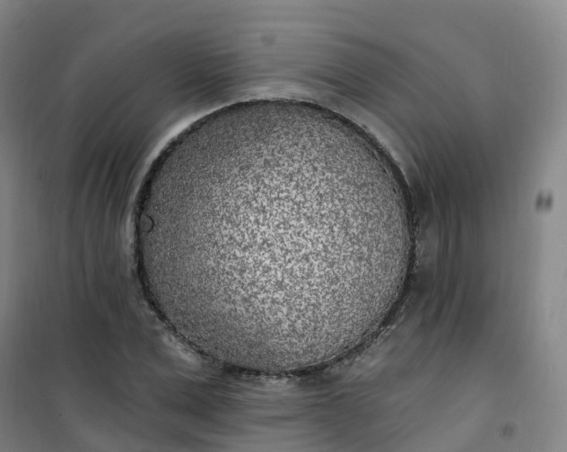 X0000101180975200807111111