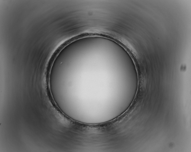 X0000101180976200807111111