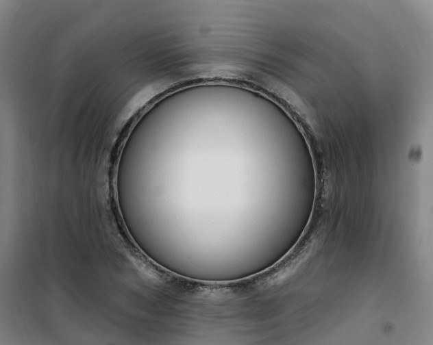 X0000101180978200807111111