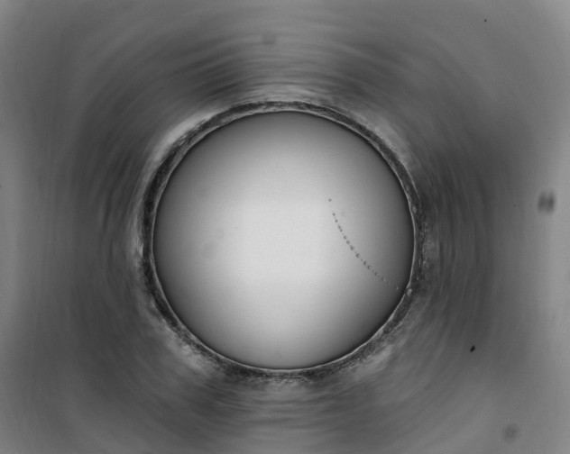 X0000101180979200807111111