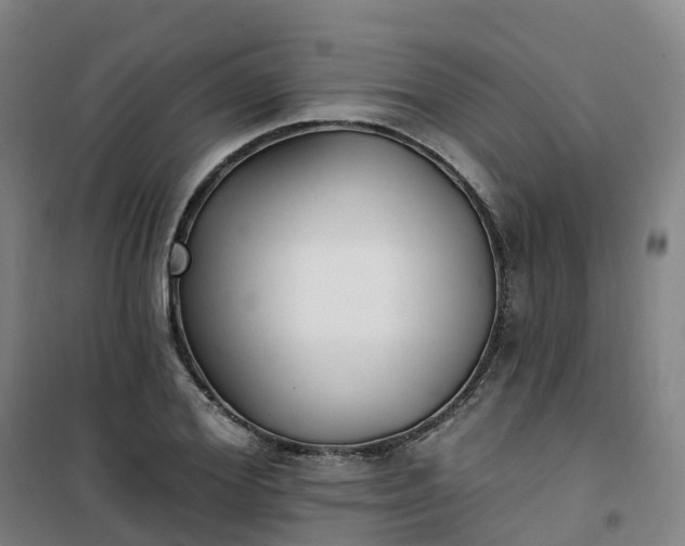 X0000101180980200807111111