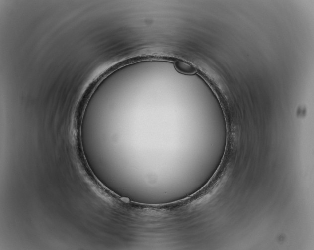 X0000101180981200807111111