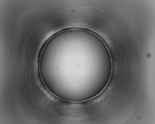 X0000101180982200807111111