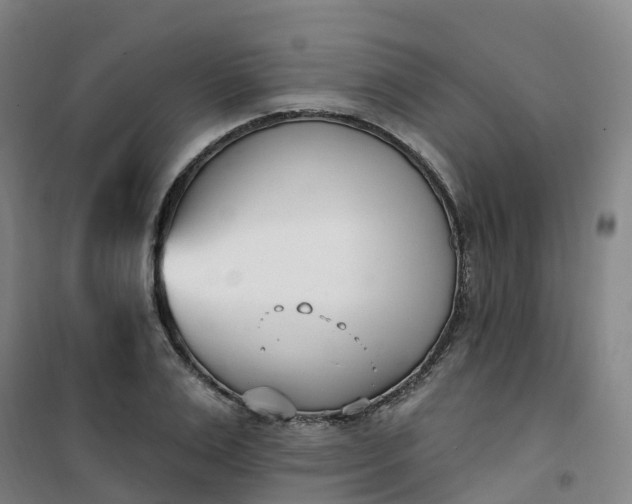 X0000101180983200807111111