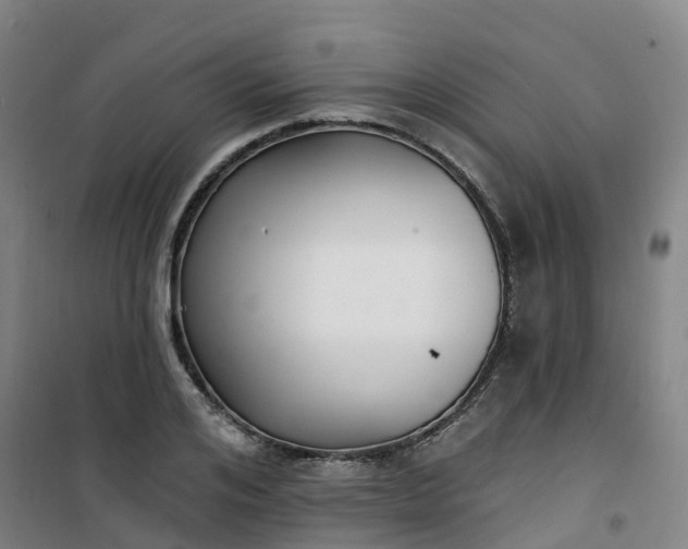 X0000101180984200807111111