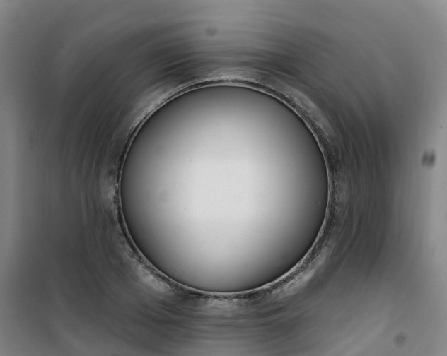 X0000101180985200807111111
