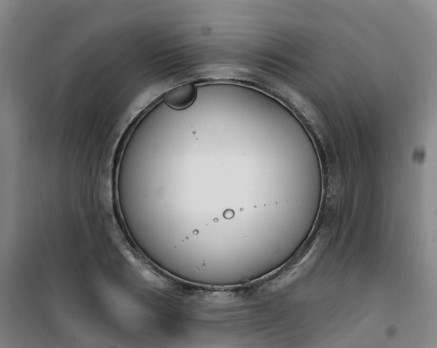 X0000101180986200807111111