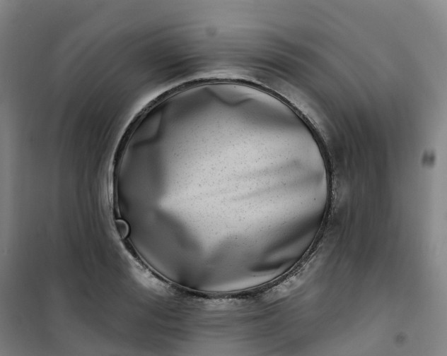 X0000101180988200807111111