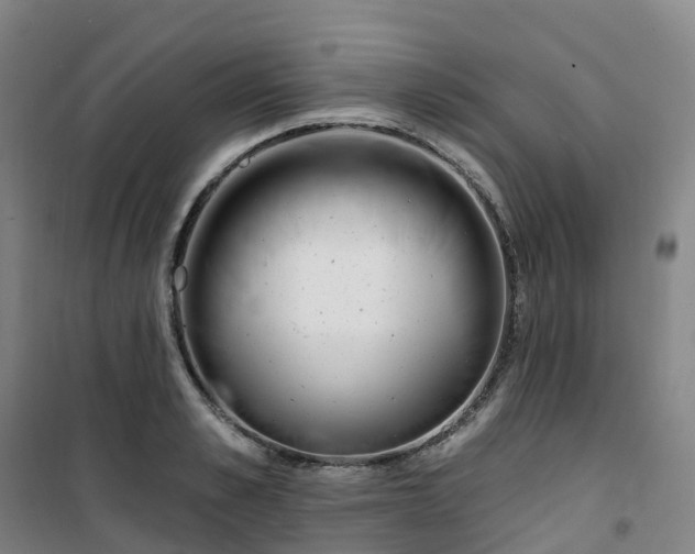 X0000101180989200807111111