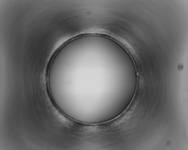 X0000101180990200807111111