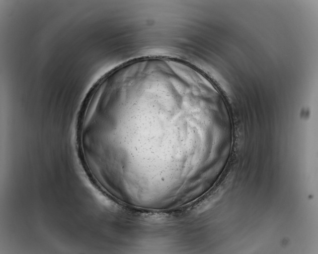 X0000101180991200807111111