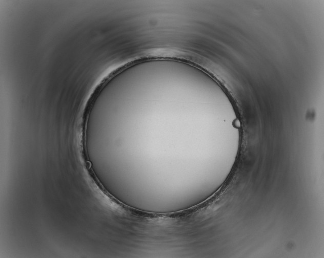 X0000101180992200807111111