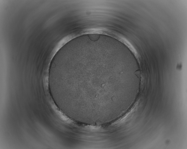X0000101180994200807111111