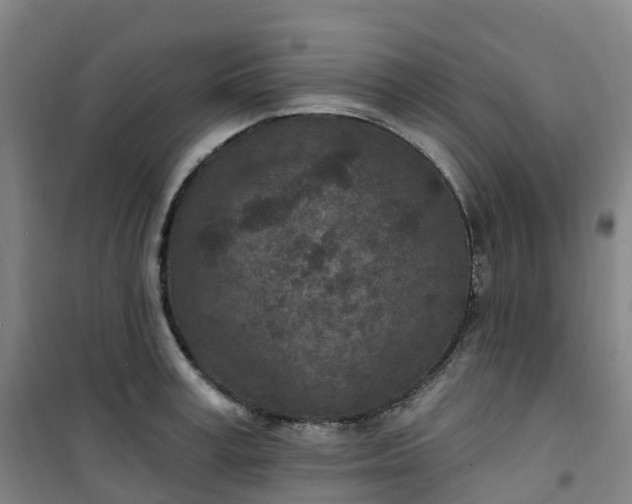 X0000101180995200807111111