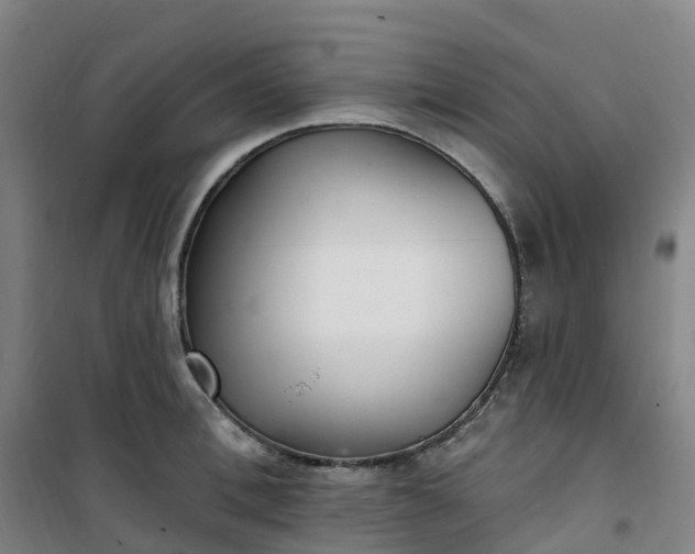 X0000101180996200807111111