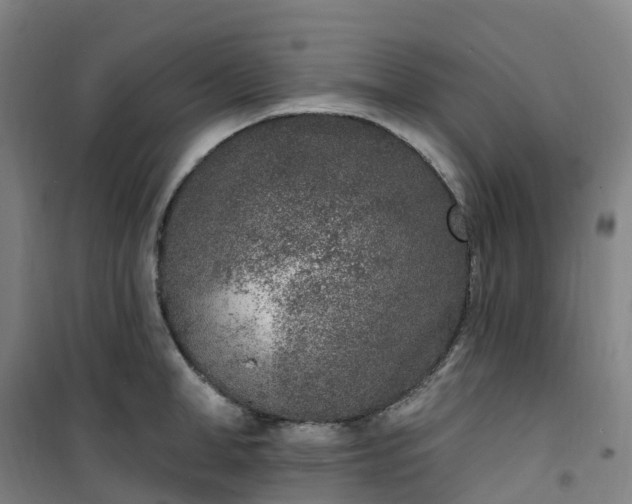 X0000101180998200807111111