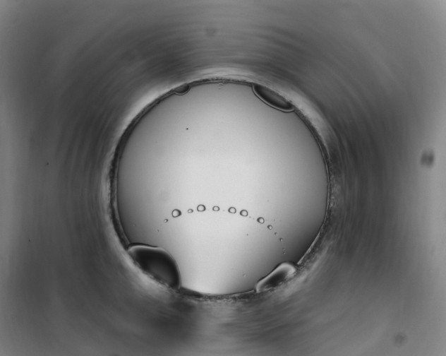 X0000101180999200807111111