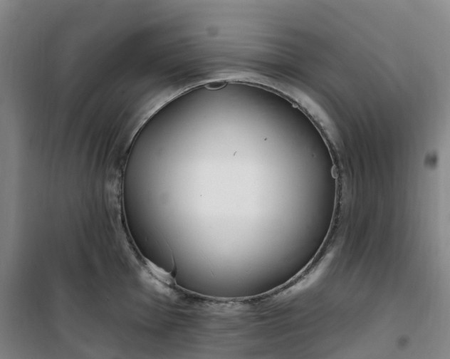 X0000101181001200807111111
