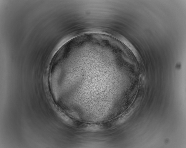 X0000101181002200807111111