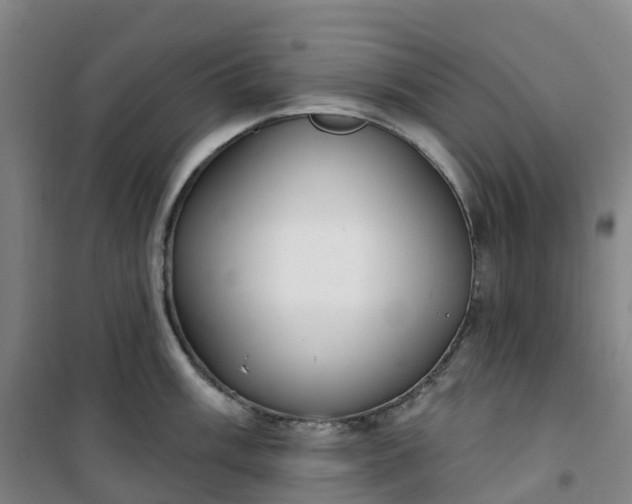 X0000101181003200807111111