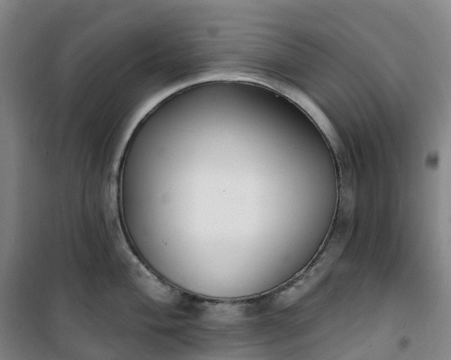 X0000101181004200807111111