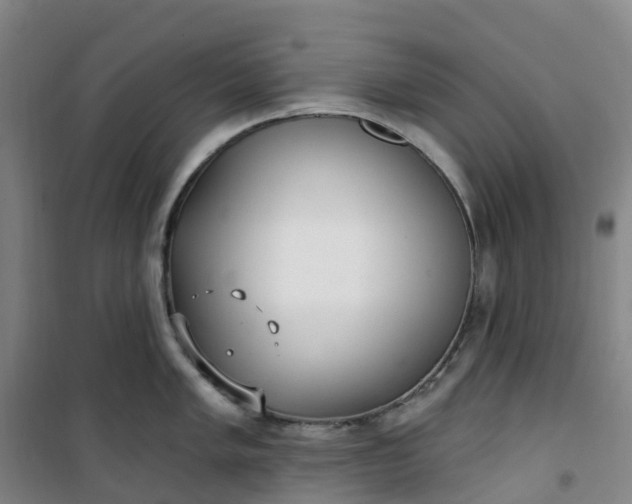 X0000101181005200807111111