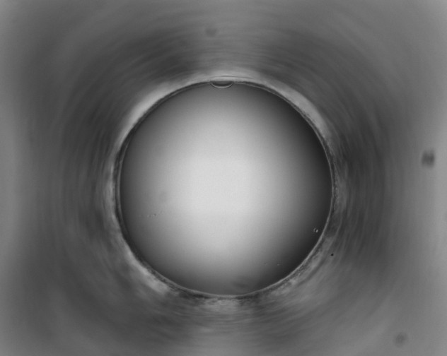 X0000101181006200807111111