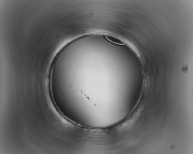 X0000101181007200807111111