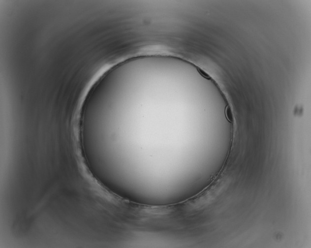 X0000101181008200807111111