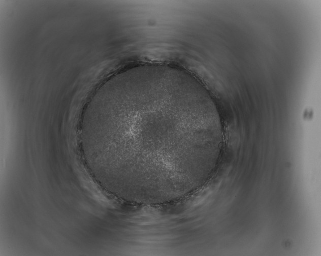 X0000101181009200807111110