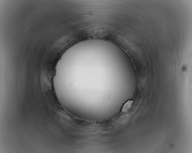 X0000101181010200807111110