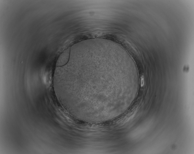X0000101181011200807111110